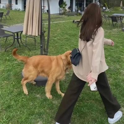恋爱离线中